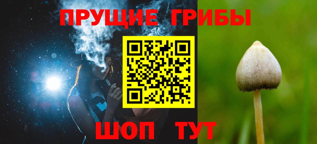 Псилоцибиновые грибы MAGIC MUSHROOMS  Вход с VPN  Нягань 